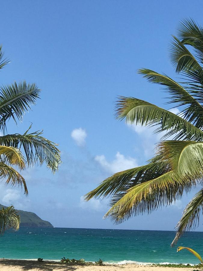 Aparthotel Vista Mare Spectacular Ocean View Floor 1-bedroom Condo,