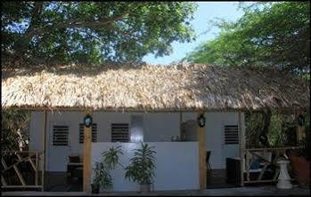 Hotel Daniel - Plantation House