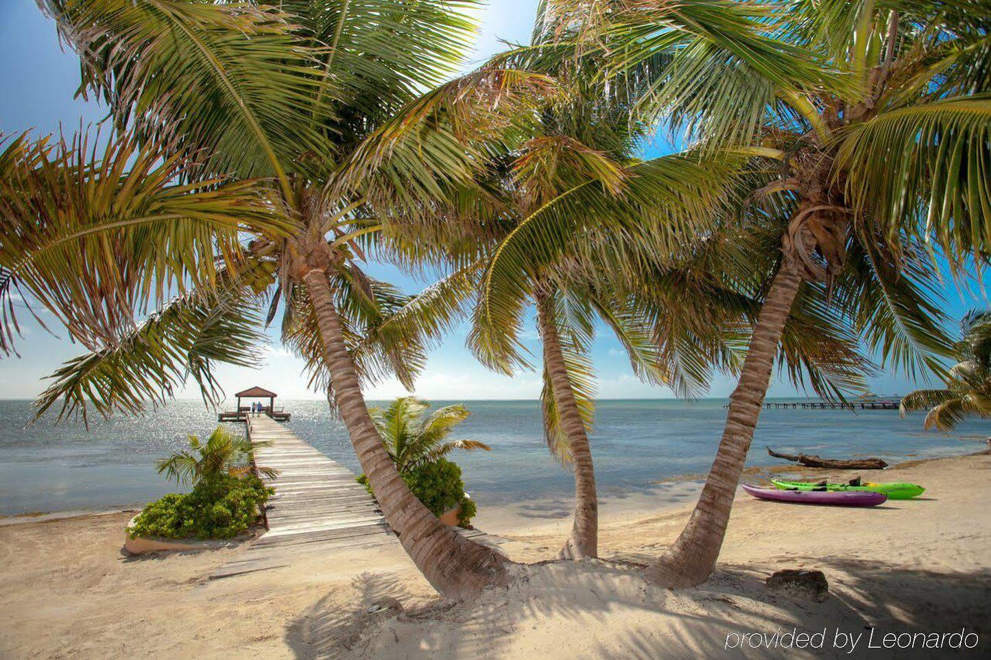 Belizean Cove Estates