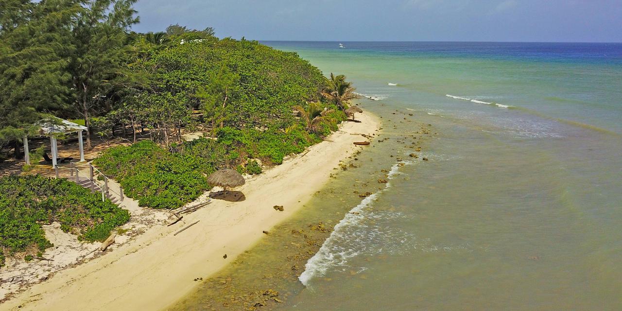 Sea Orchard Retreat