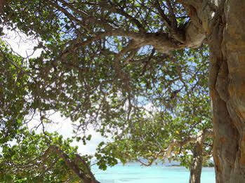 Crystal Cove 4* Nazareth