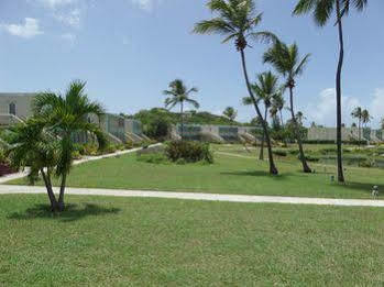 Hotel Crystal Cove 4*
