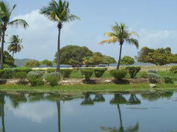 Hotel Crystal Cove 4*