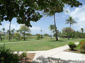 Hotel Crystal Cove 4*