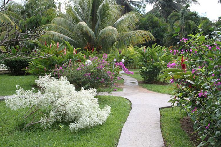 Fleurs Des Iles * Deshaies