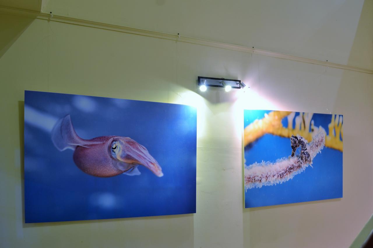Guest house Boca Simon Vacation Curacao