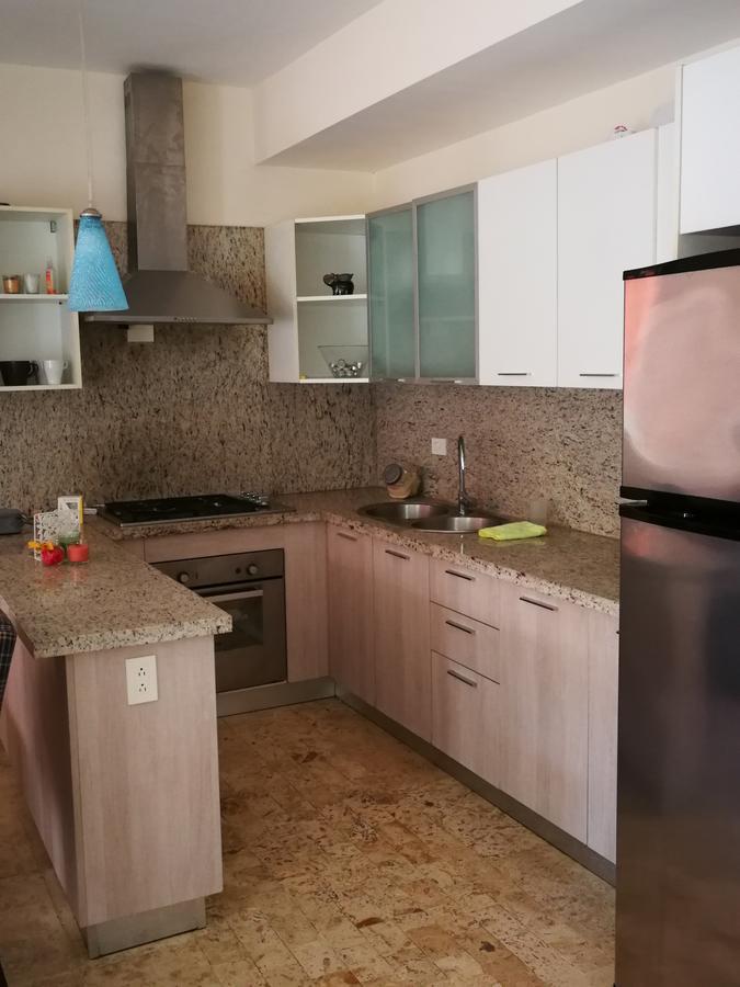 Venesa Apartamento Boca Chica
