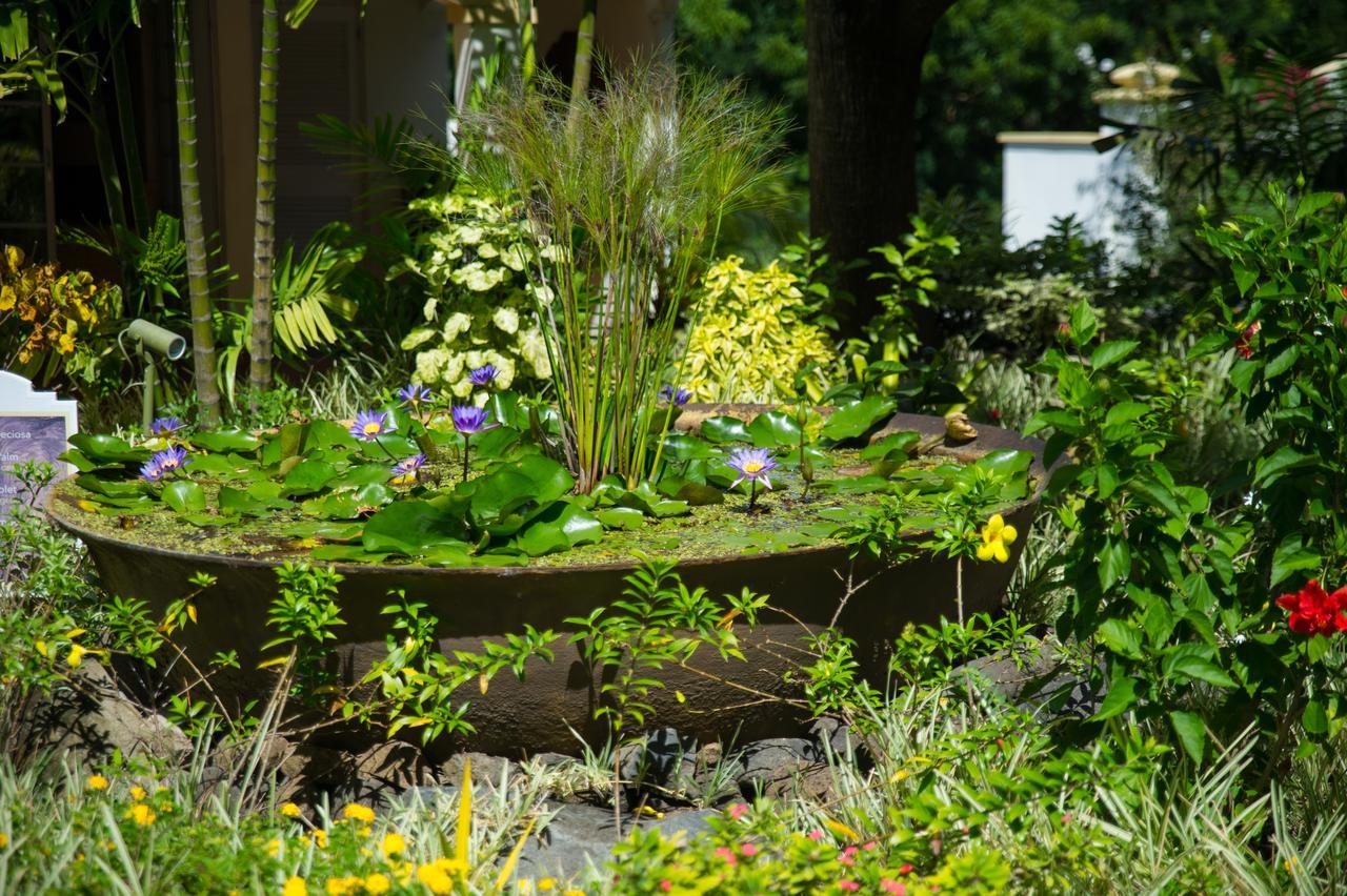 Blue Horizons Garden St. George's