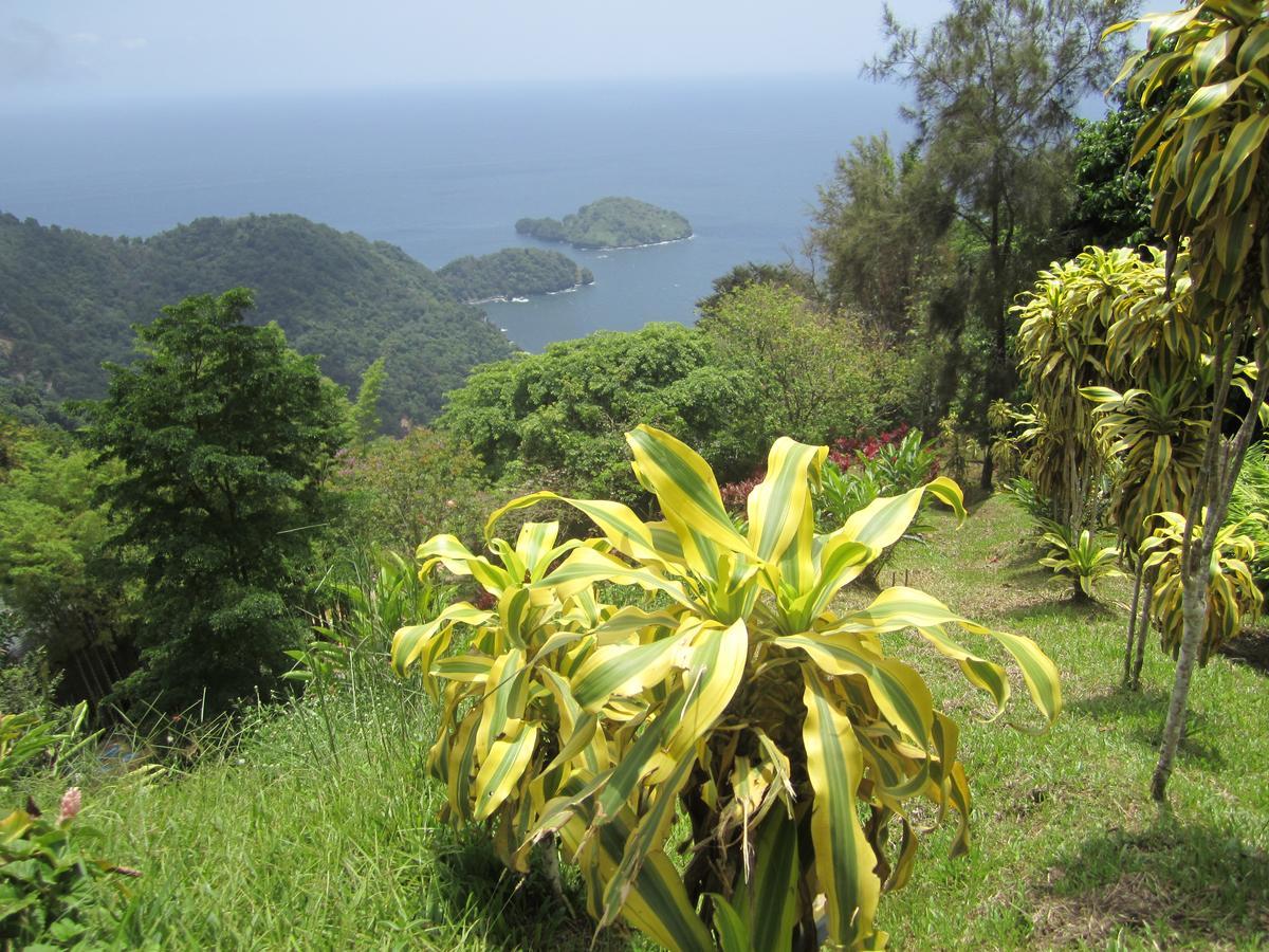Mahogany Ridge Acomodação com café da manhã  Arouca