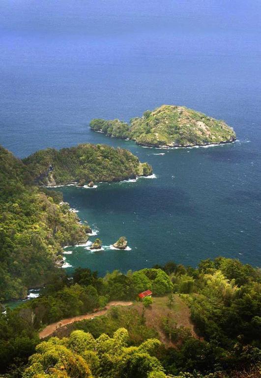 Mahogany Ridge Acomodação com café da manhã  Arouca