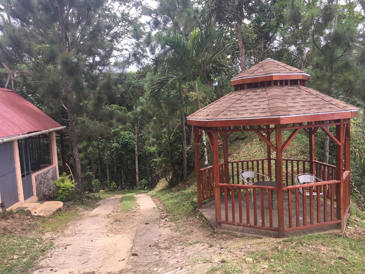 Acomodação com café da manhã  Mahogany Ridge