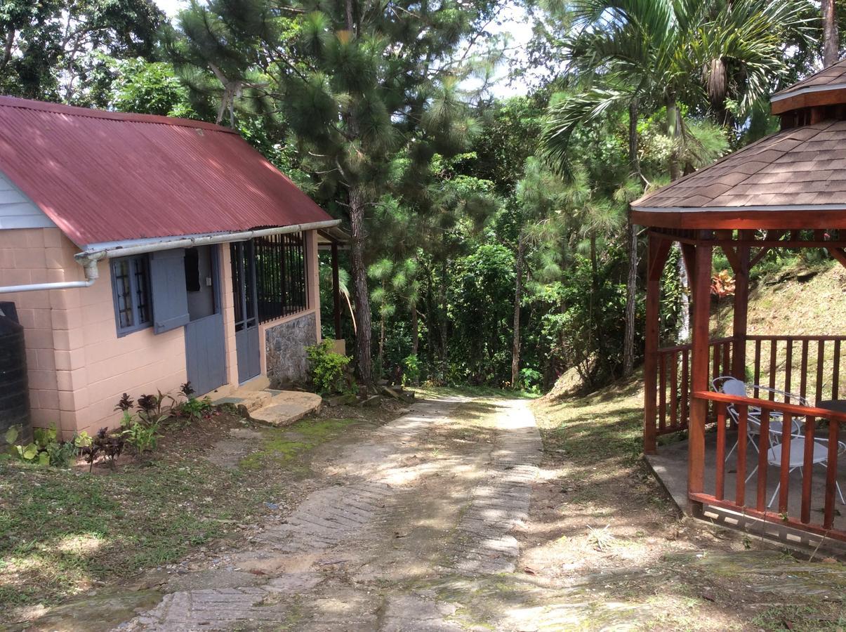 Mahogany Ridge * Arouca