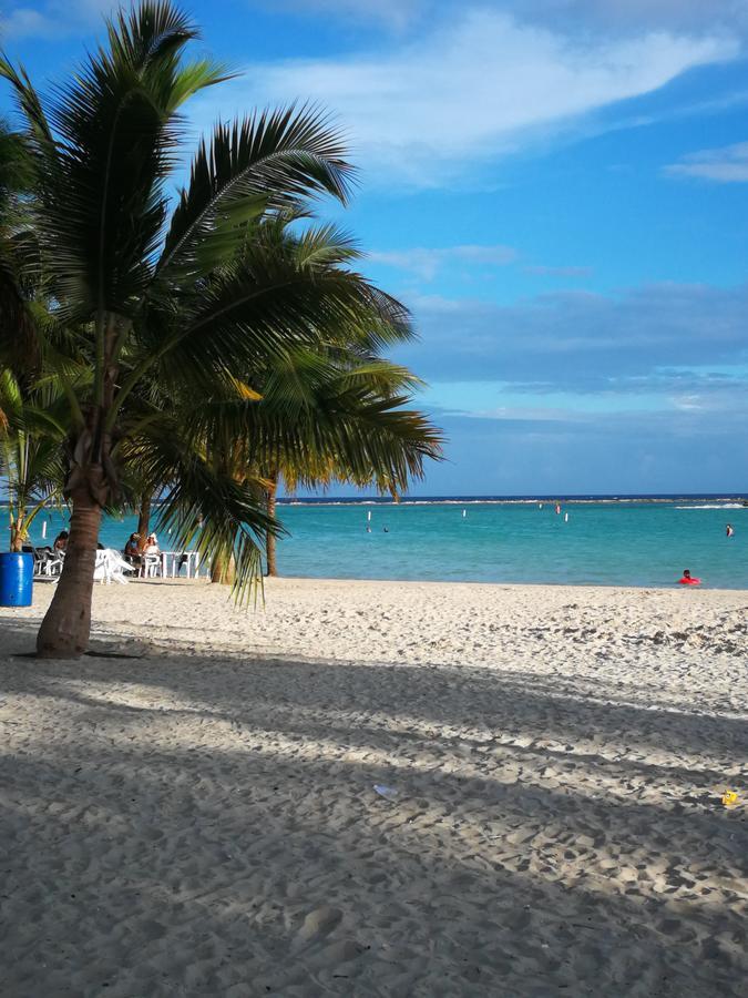 Venesa Apartamento Boca Chica