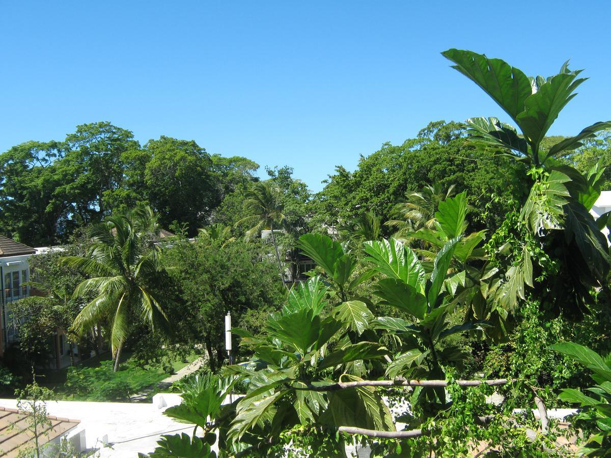 Vacations In The Caribbean Paradise * Sosua