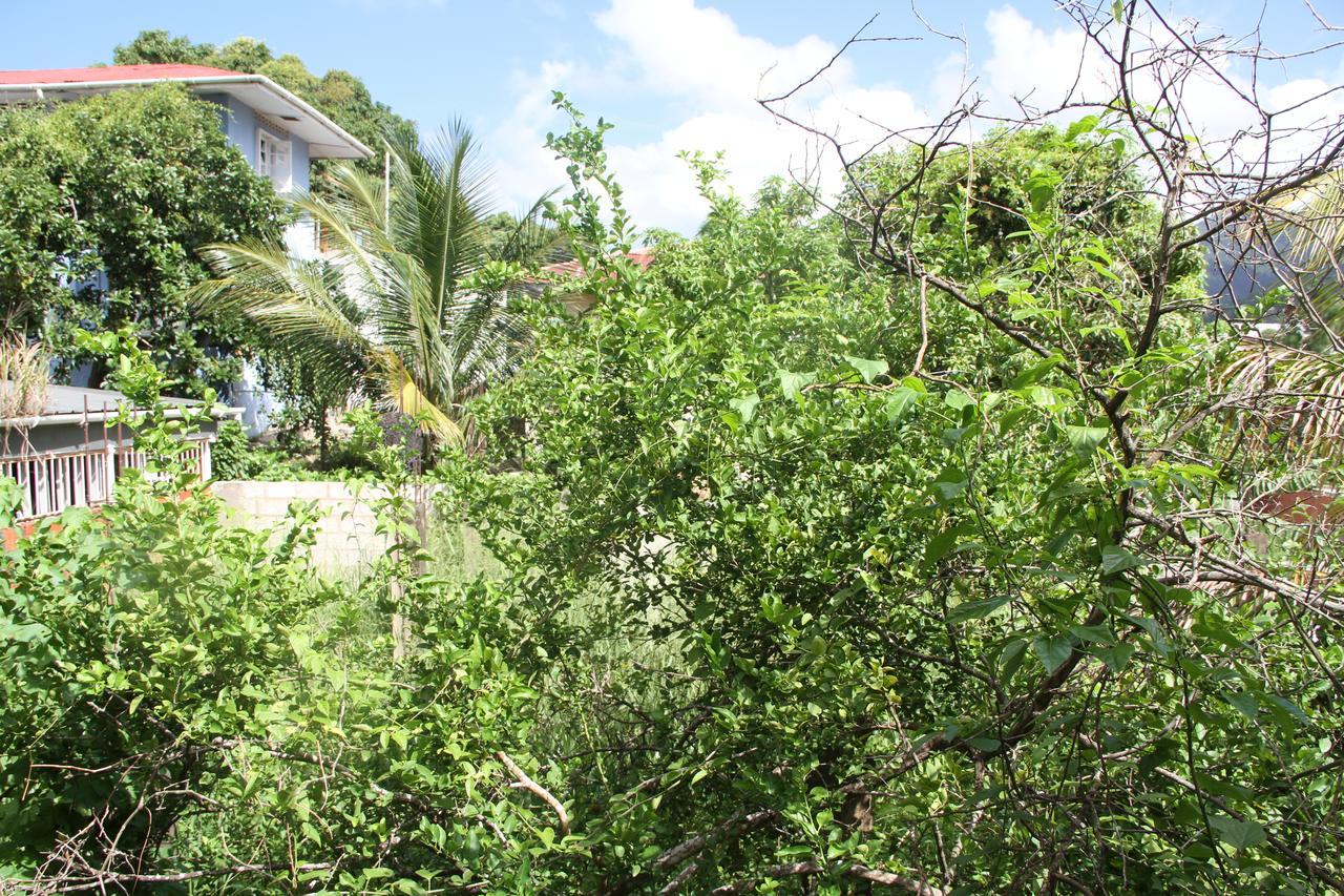 Bed & Breakfast Caribbean Villas 3*