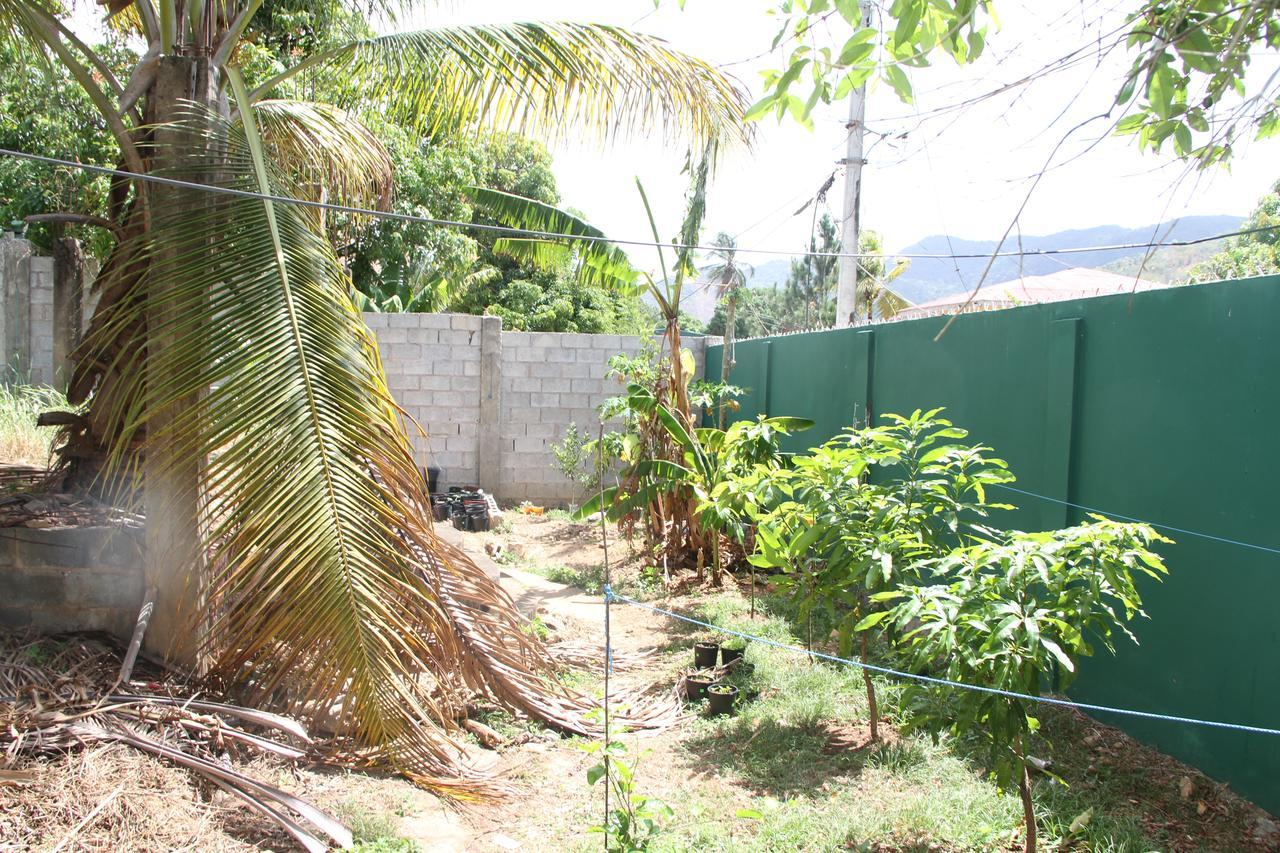 Bed & Breakfast Caribbean Villas 3*