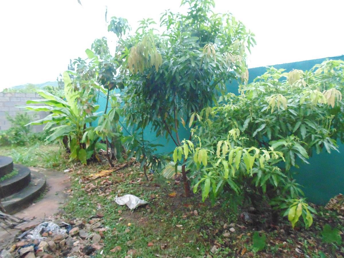 Bed & Breakfast Caribbean Villas 3*