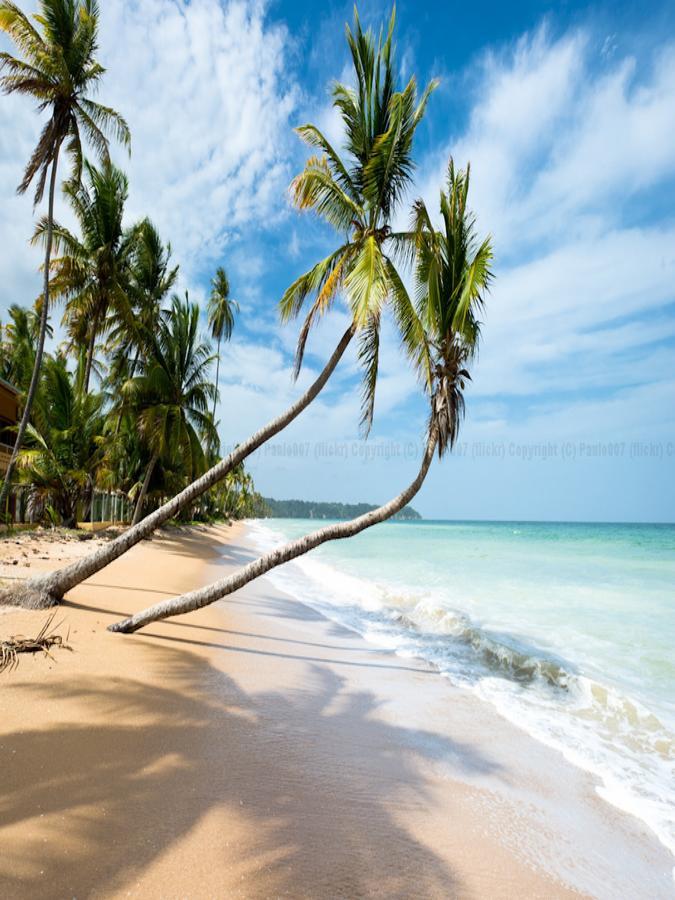 Bed & Breakfast Caribbean Villas
