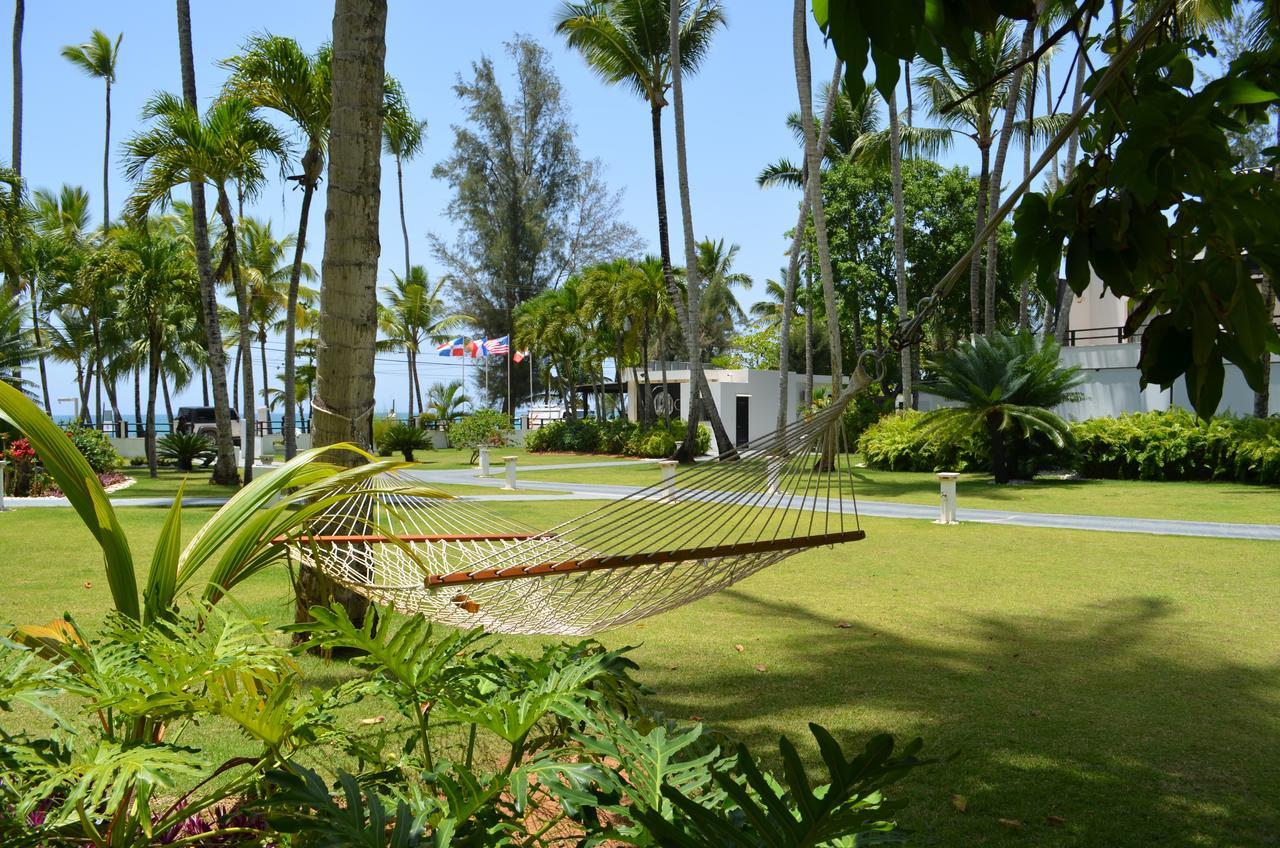 Aligio Beachfront Paradise Apartment