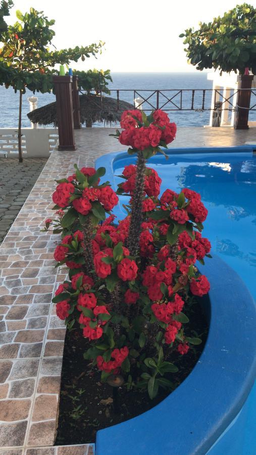 Bed & Breakfast Maxanika 3*
