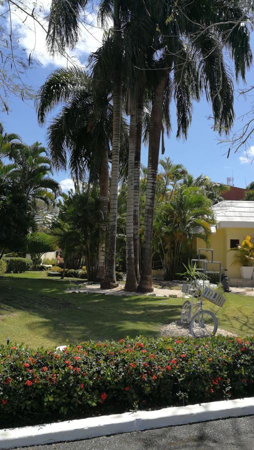 Venesa Apartamento Boca Chica