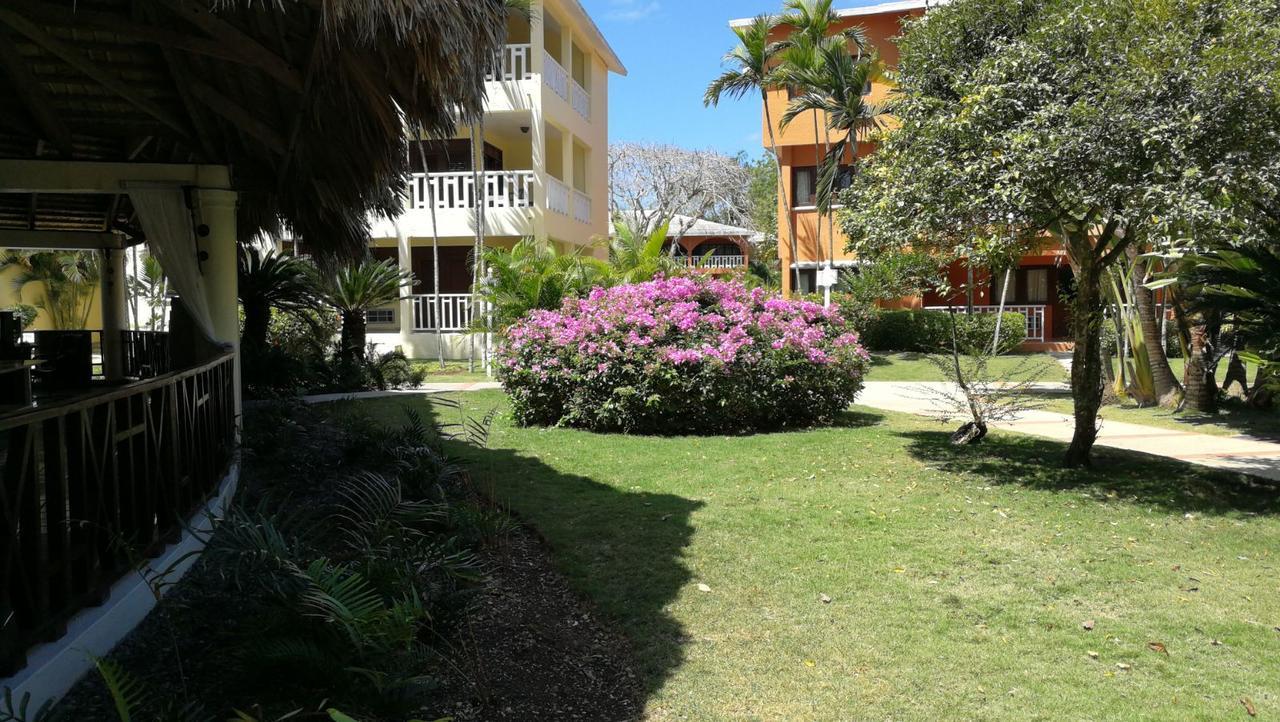 Venesa Apartamento Boca Chica