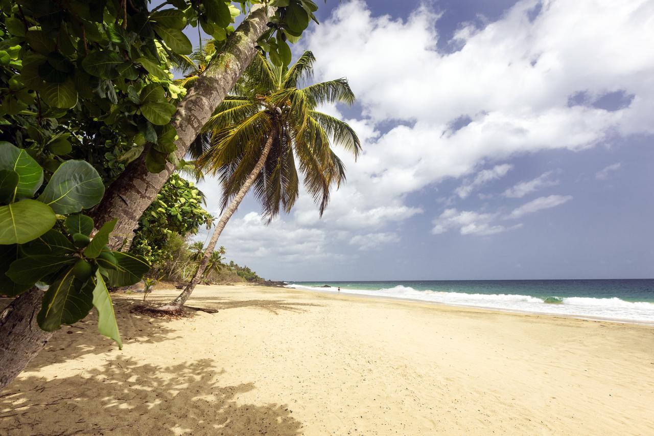 Grafton Beach Resort 3*