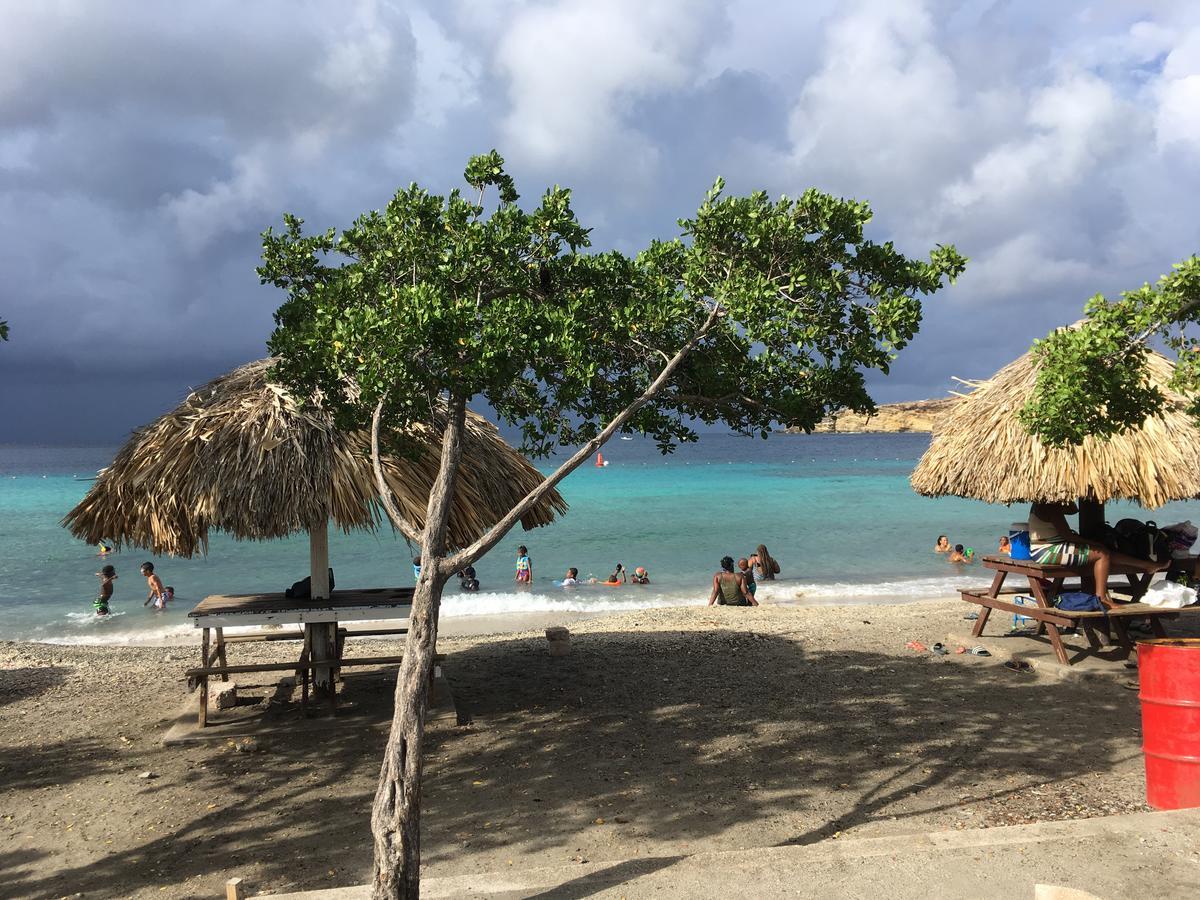 Vivaldi Your Private Place * Willemstad