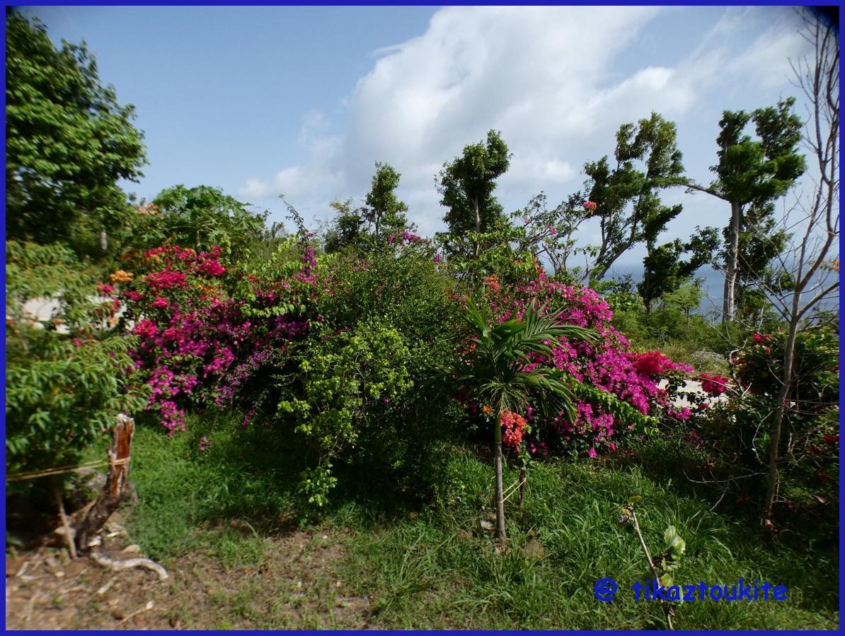 Tikaz Toukite Lodge *