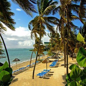 St. James's Club 4*