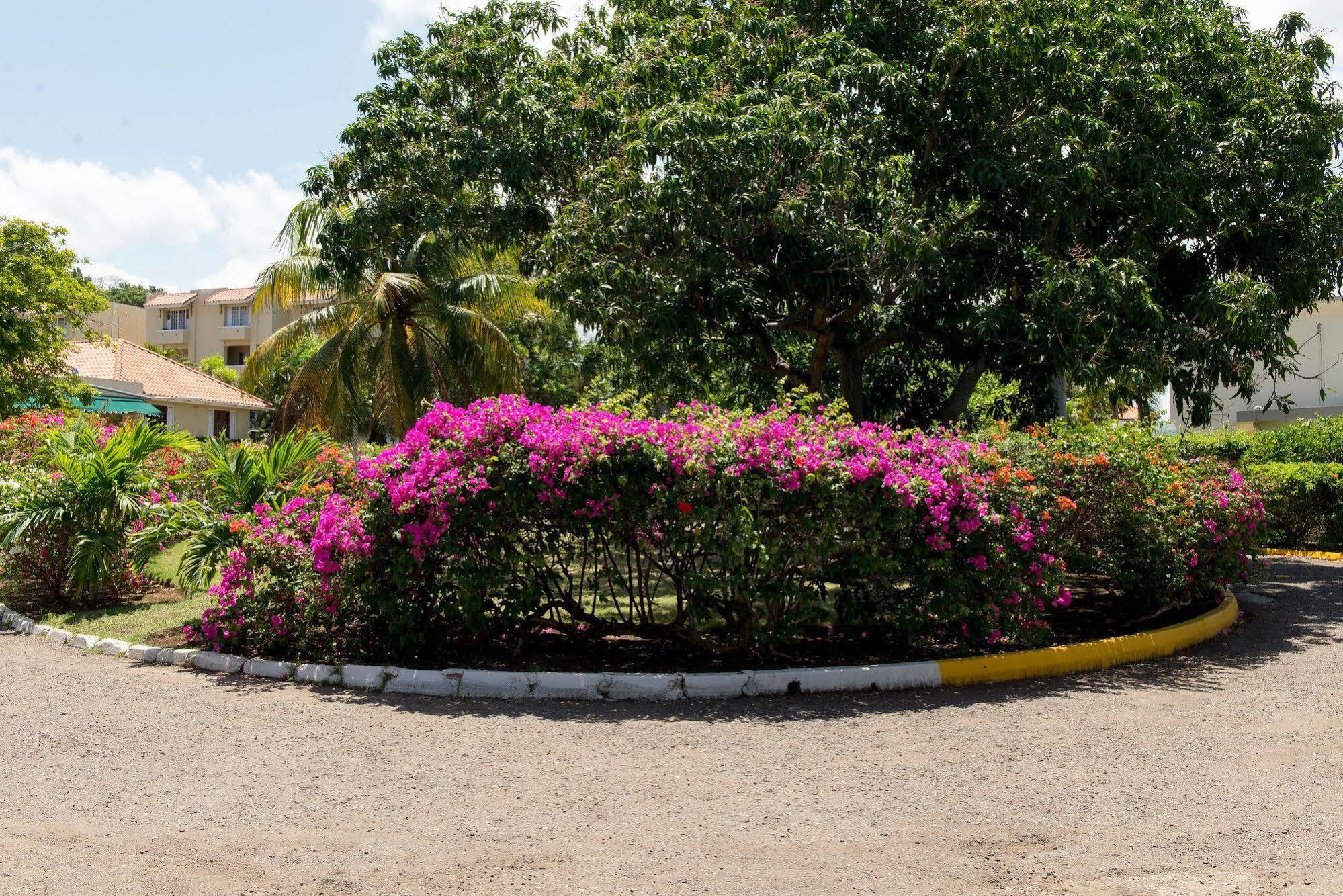 Coral Reef Beach Suite At Montego Bay Club Resort Hotel 2*