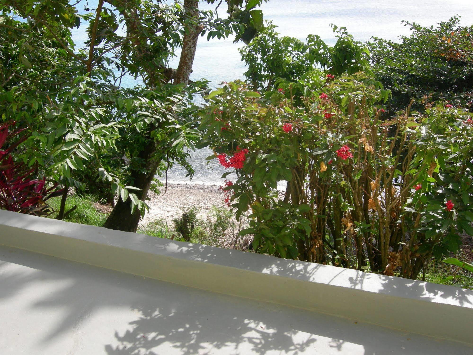 Casa de hóspedes Casa Del Vega A Little Peace Of Heaven Castries