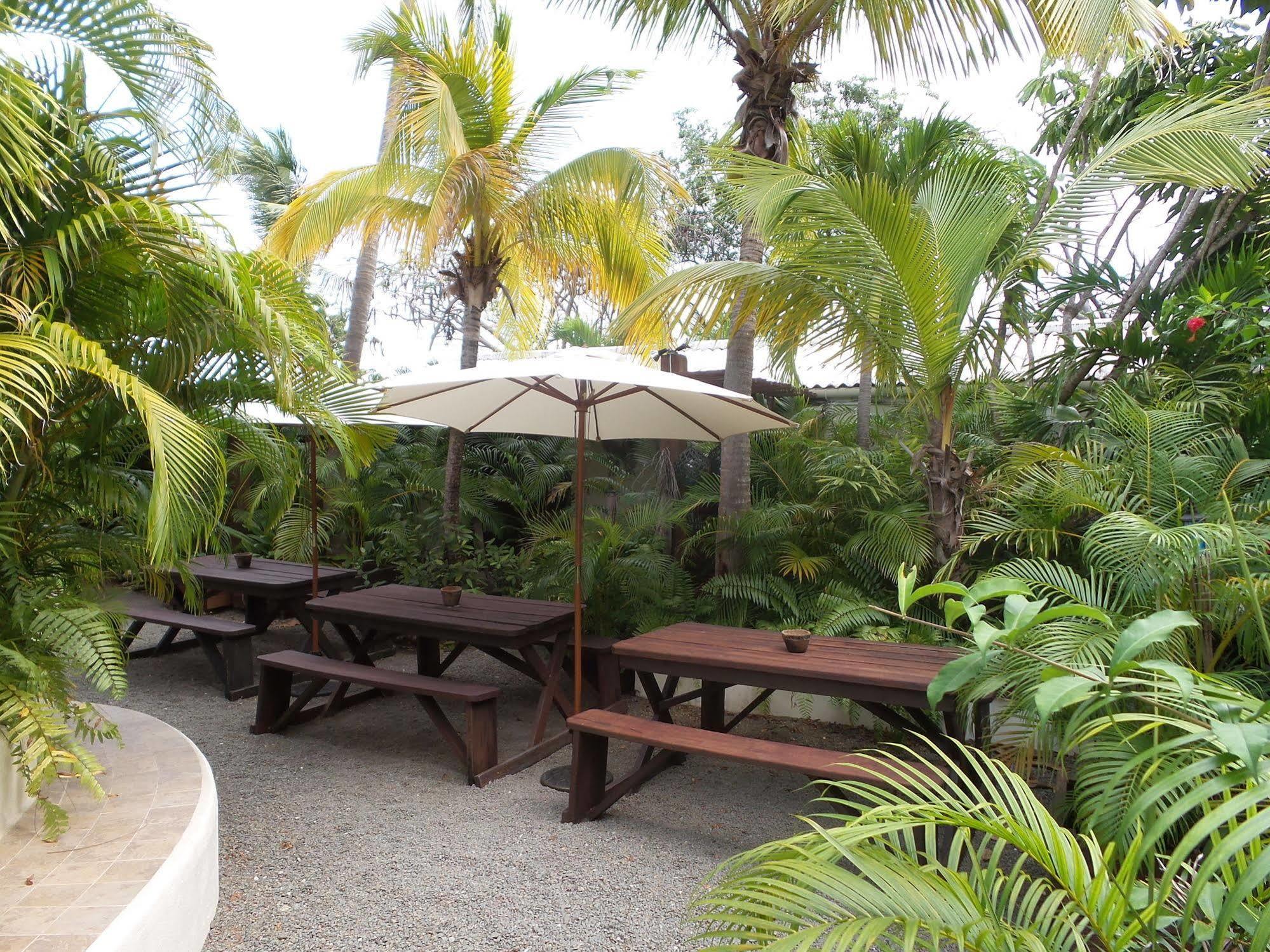 Le Jardin Creole Pensão St. John's