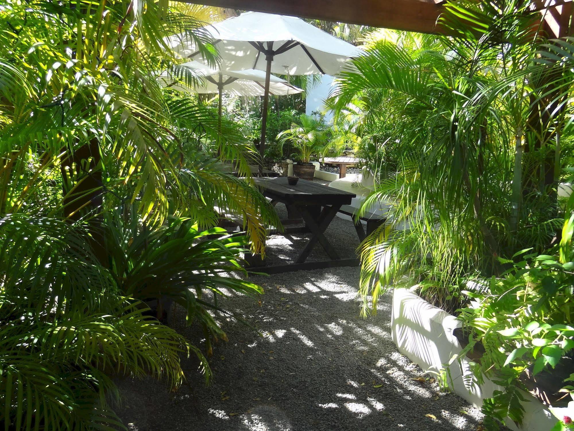 Le Jardin Creole Pensão St. John's