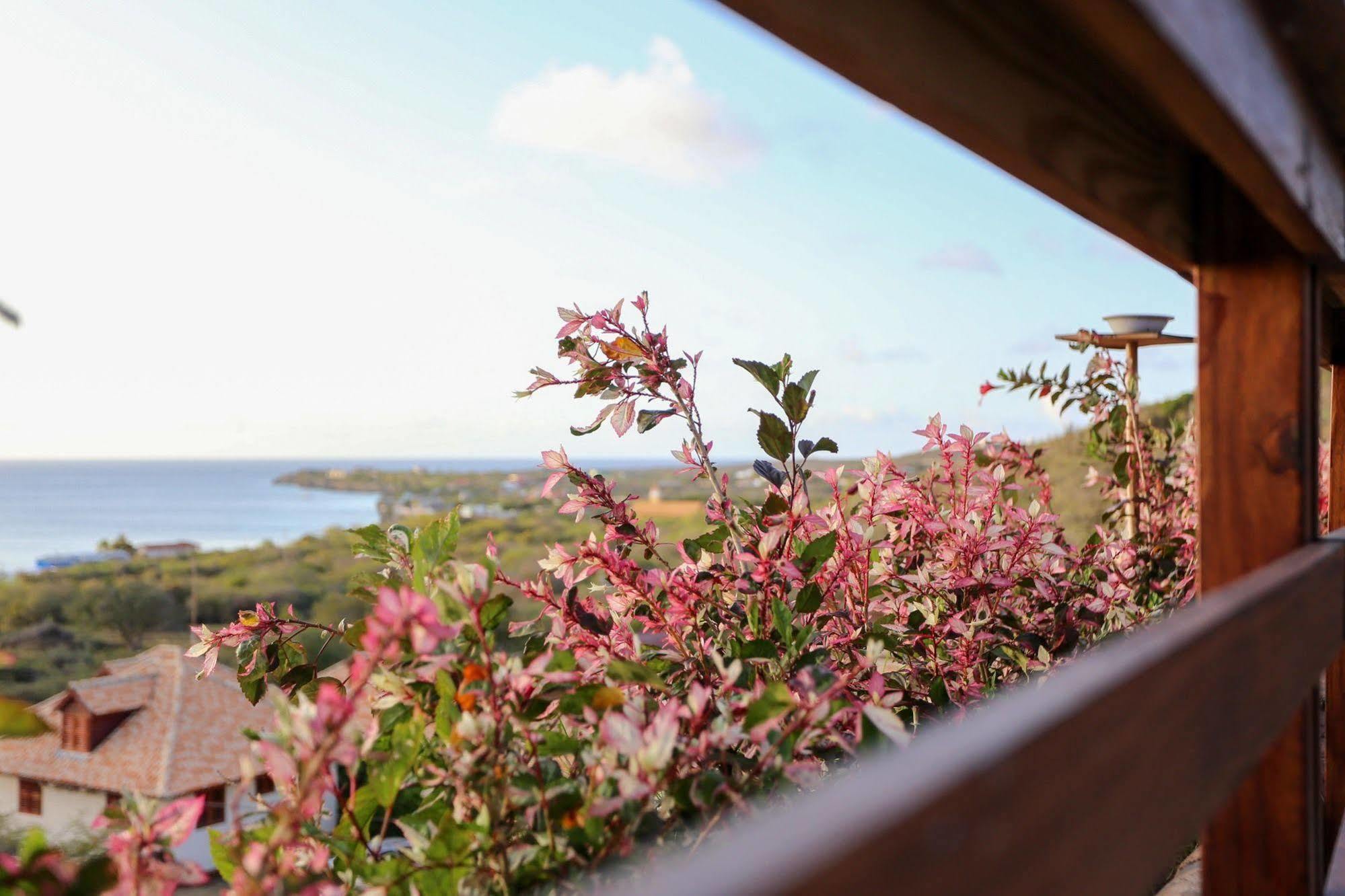 Punta West Hotel Curacao