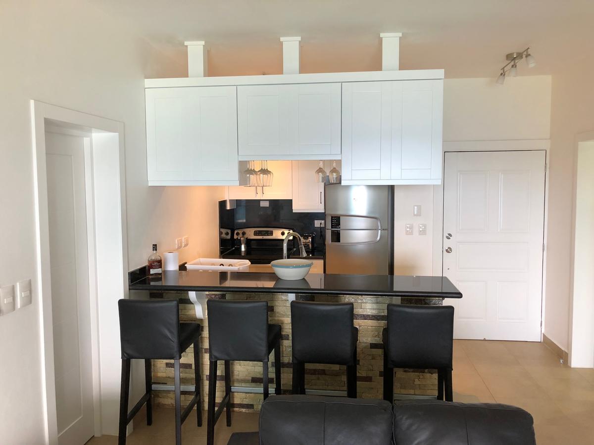 Sosua, Playa Alicia, Roof Top 5c ,beach Front Apartment Sosua