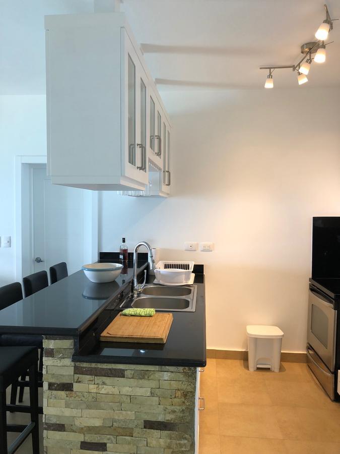 Sosua, Playa Alicia, Roof Top 5c ,beach Front Apartment