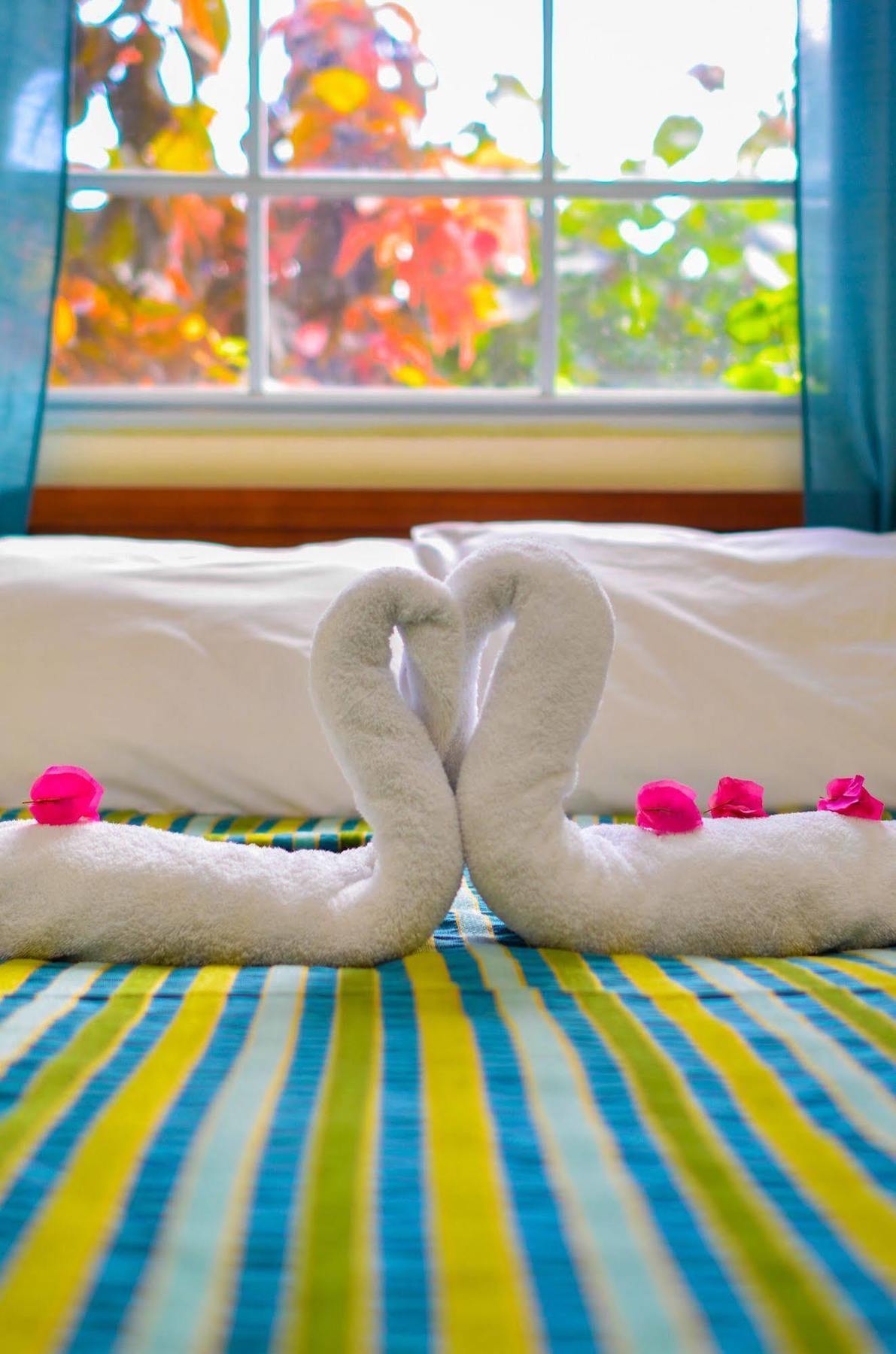 Bellissimo Boutique Guest house Buccoo
