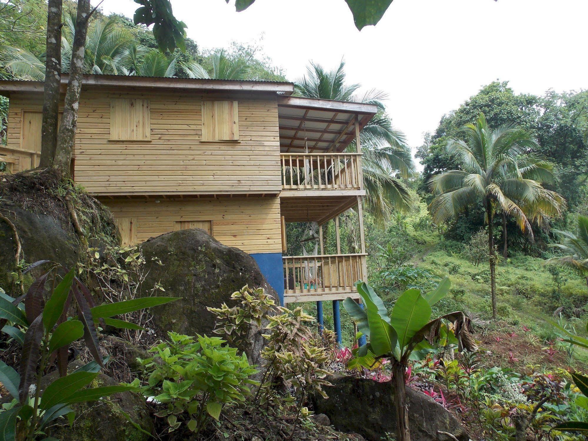 Roots Jungle Retreat