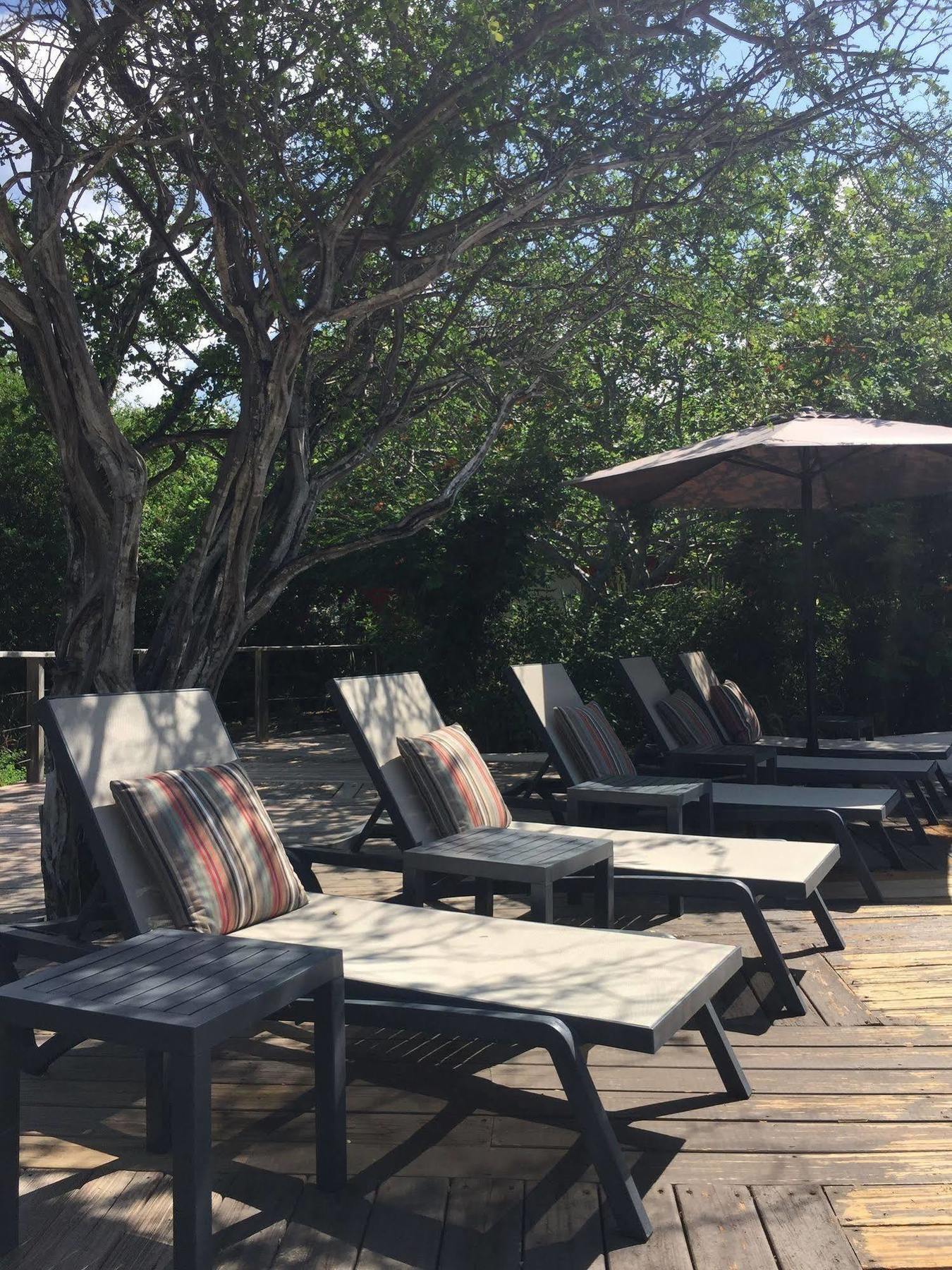 Morena 4* Willemstad