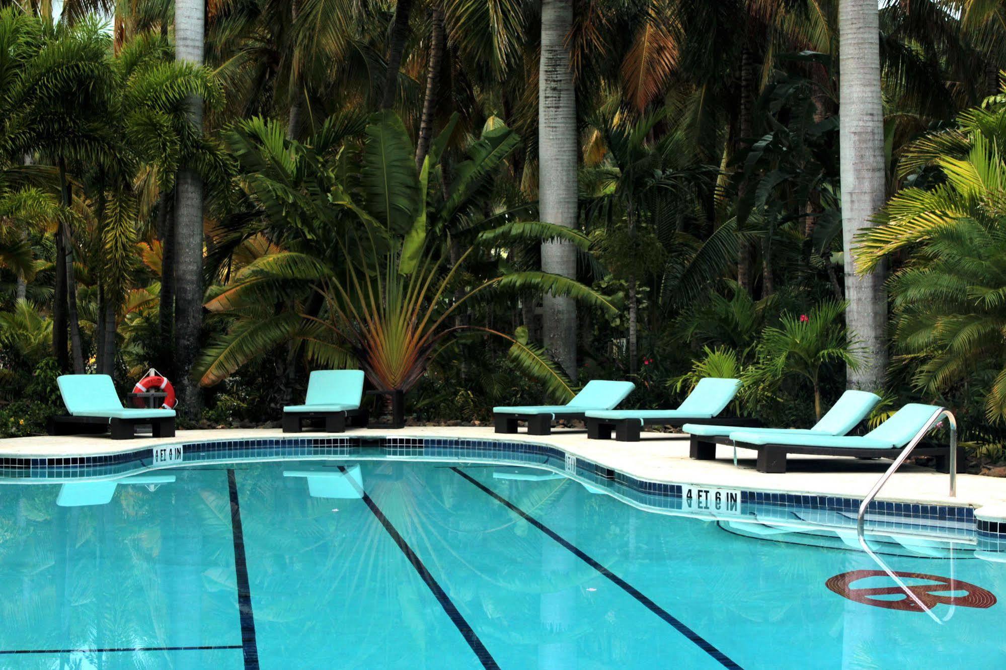 Hotel Curtain Bluff 5*