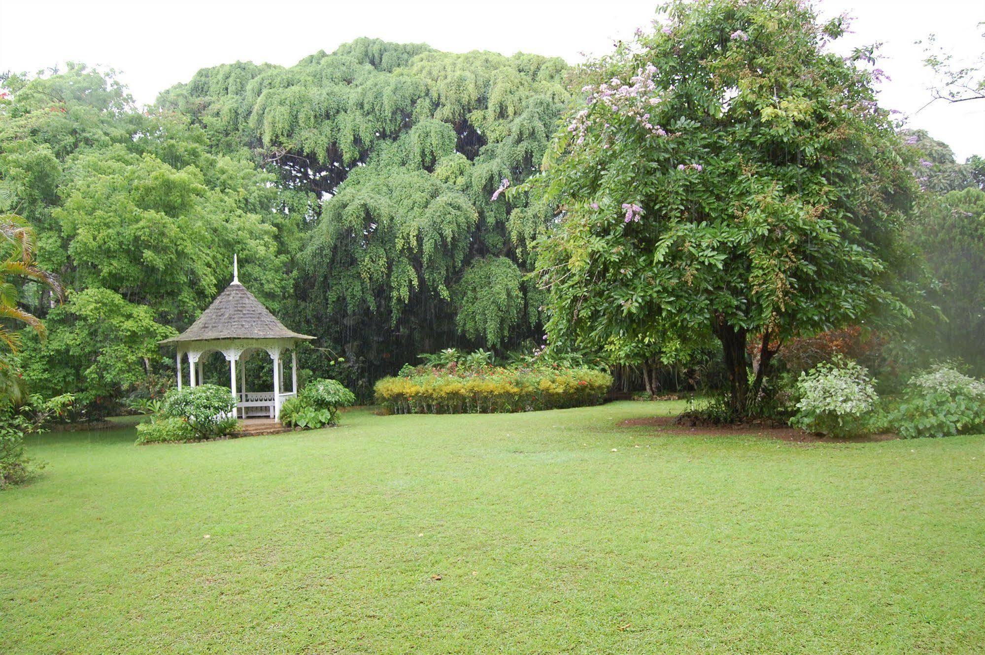 Hotel At Shaw Park Gardens & Waterfalls Ocho Rios