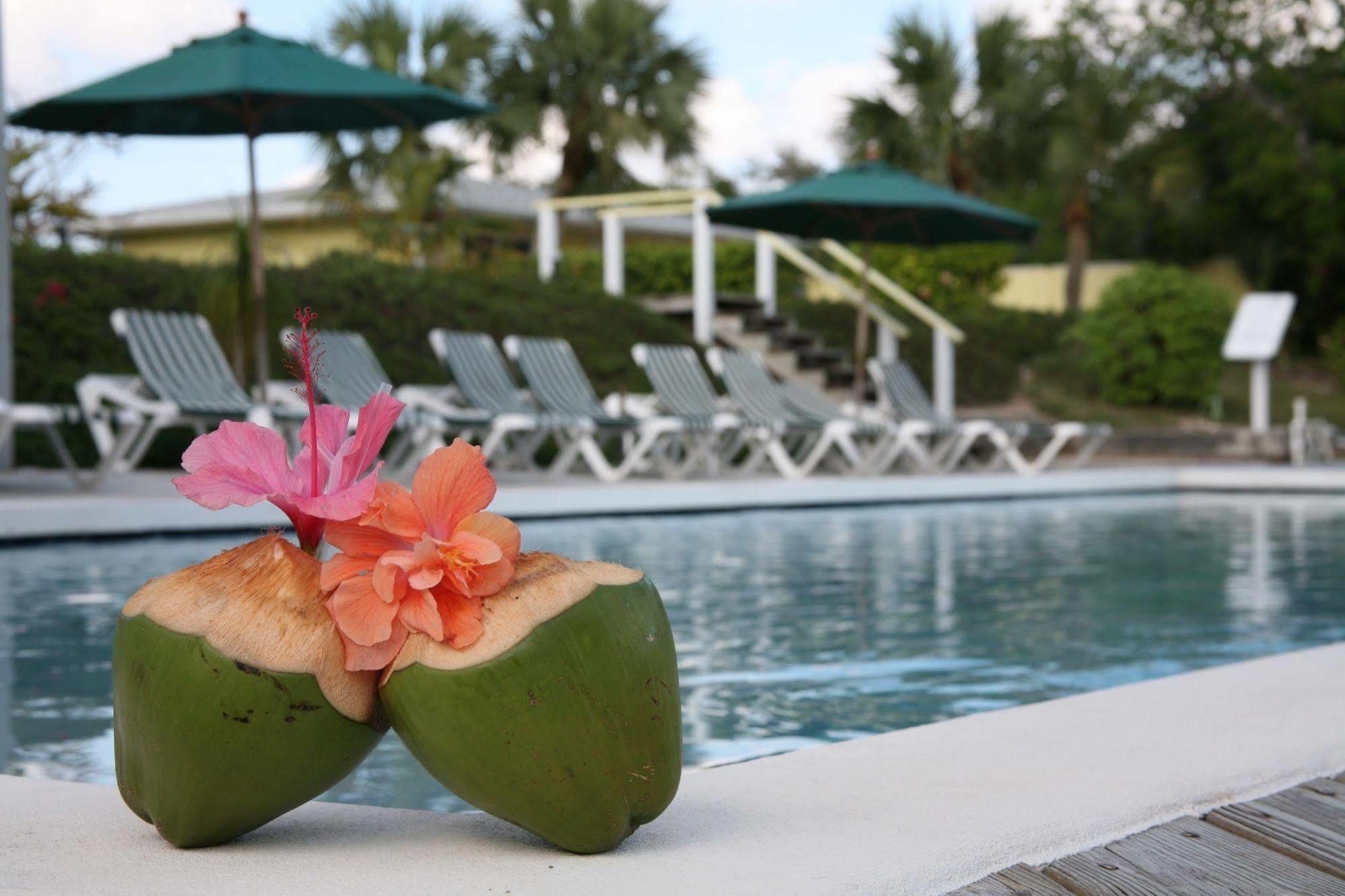 Resort Green Turtle Club & Marina 3*