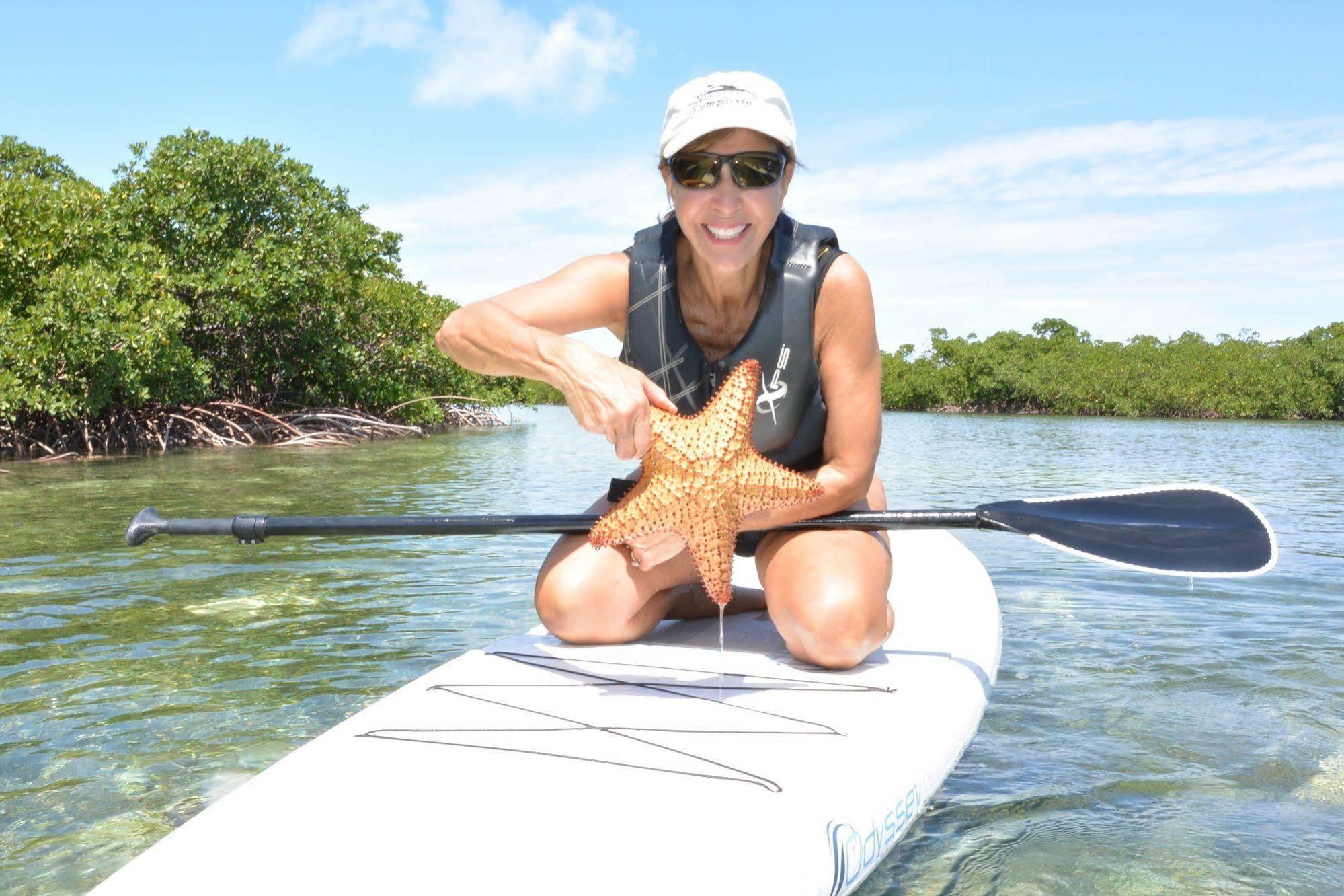 Resort Green Turtle Club & Marina Green Turtle Cay
