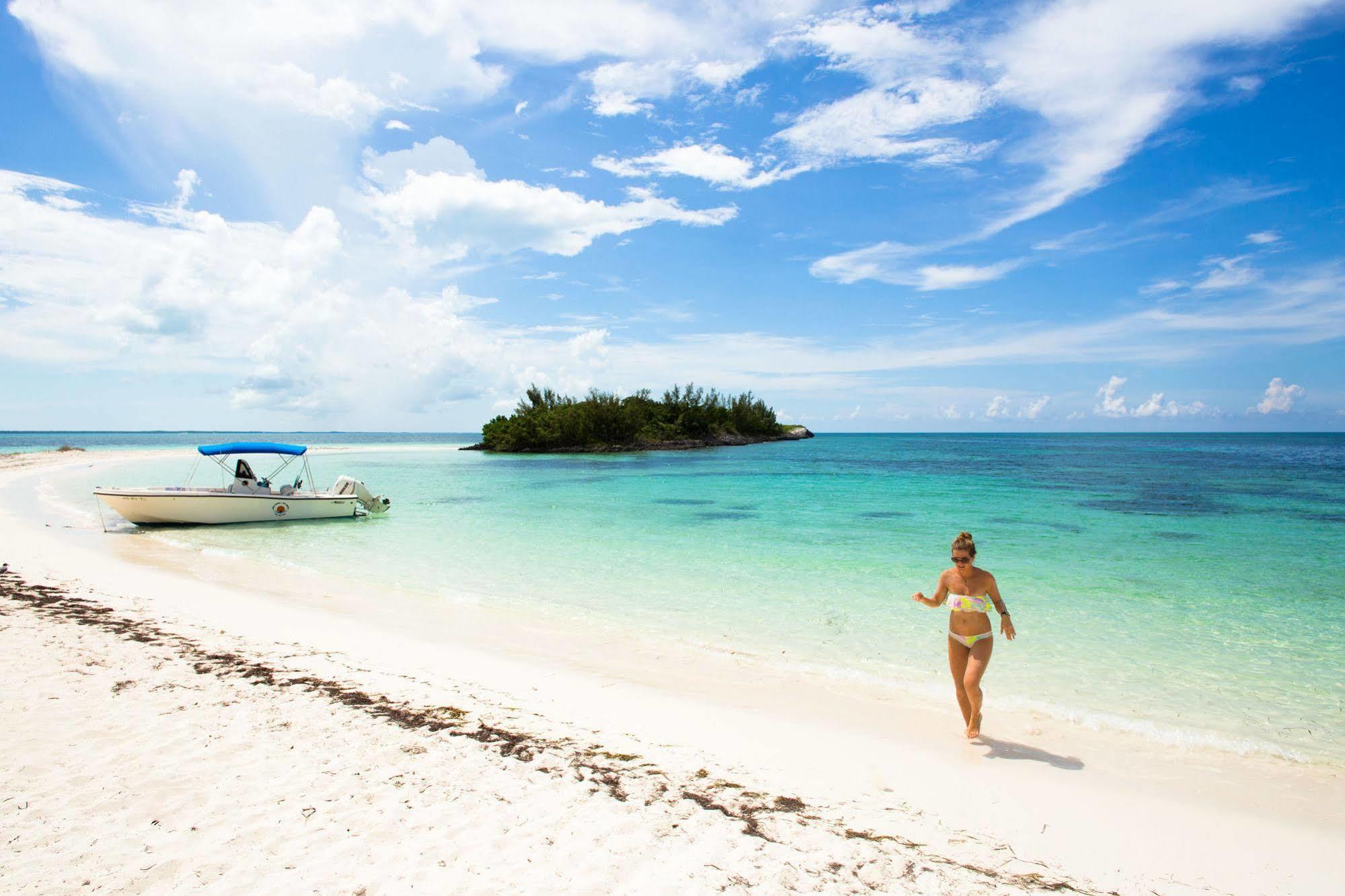 Green Turtle Club & Marina Green Turtle Cay