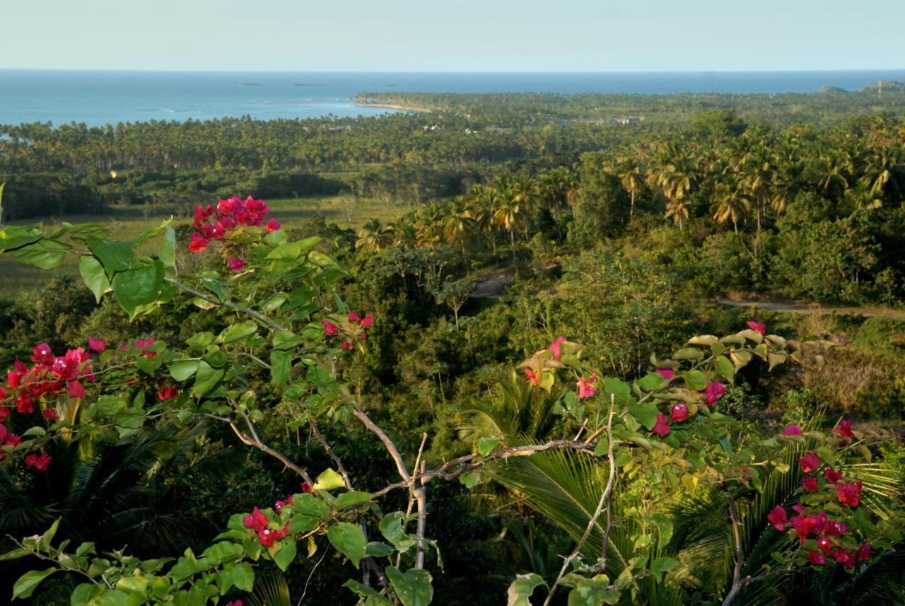 The Peninsula House 2* Las Terrenas