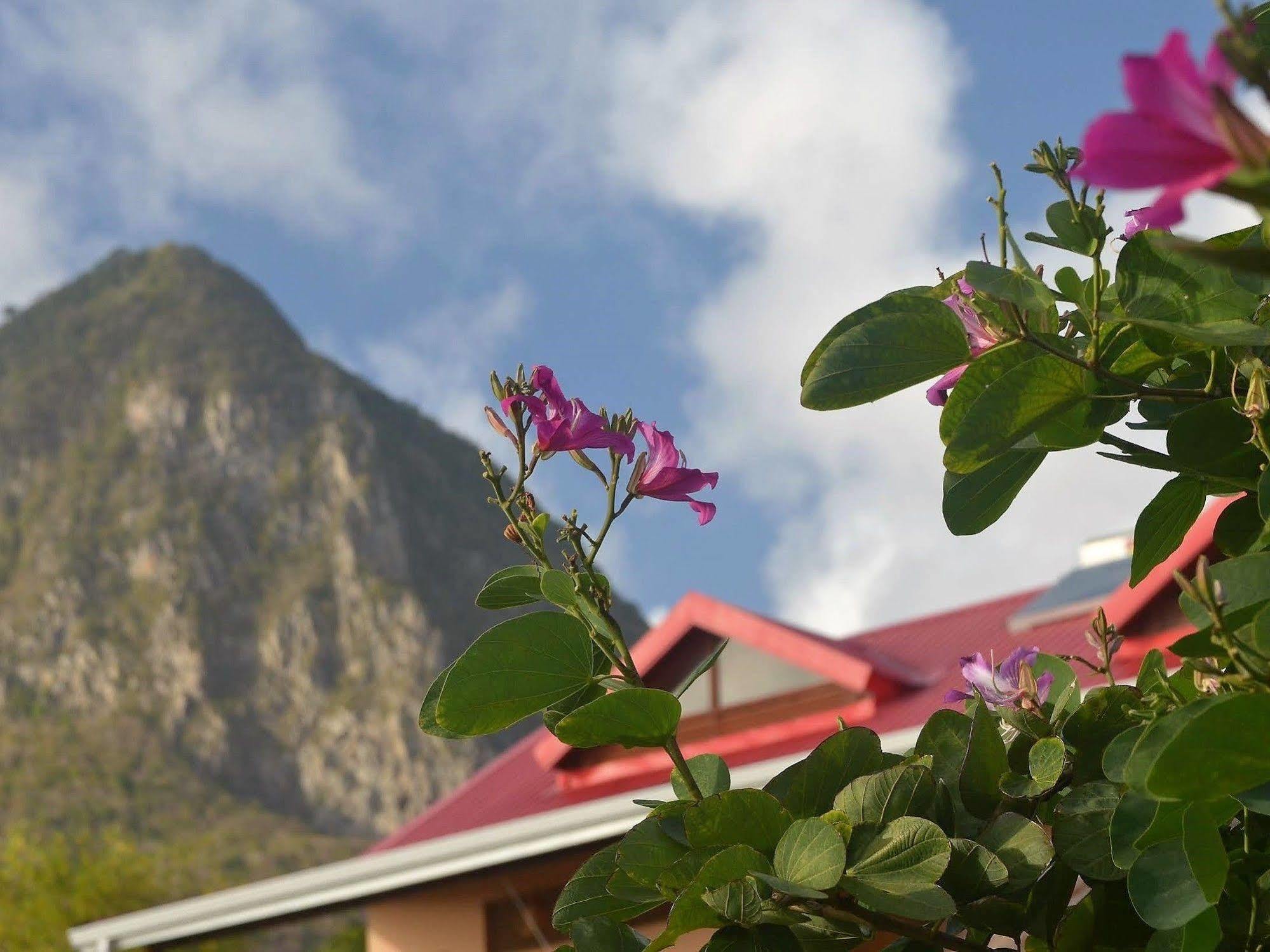 Tet Rouge Hotel Soufrière