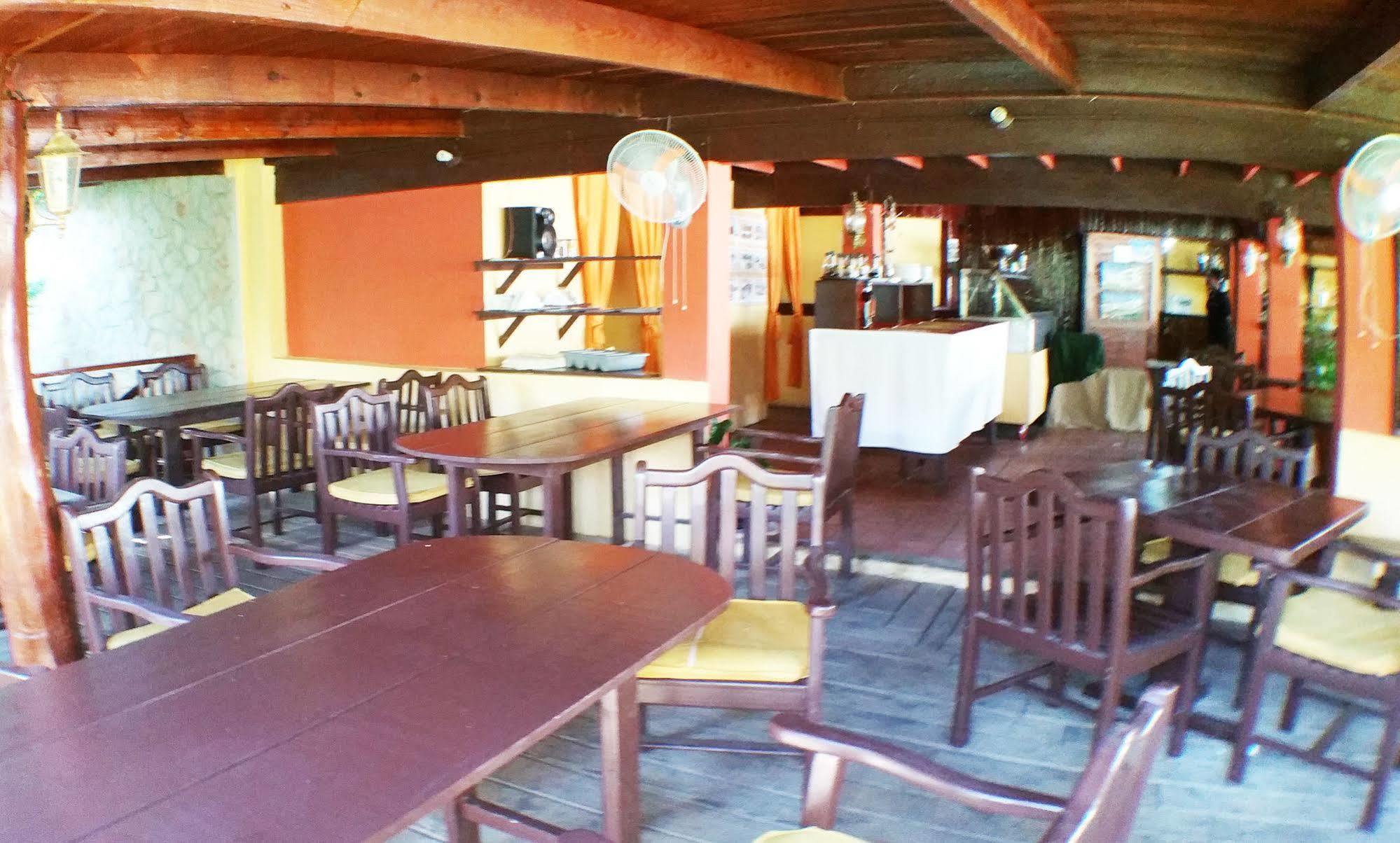 Pinos 4*