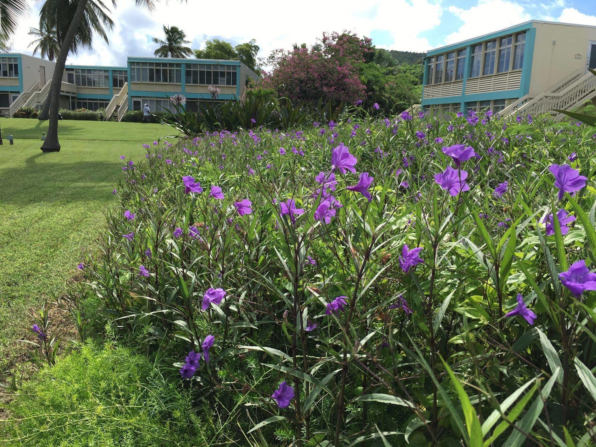 Hotel Sapphire Sanctuary By The Sea