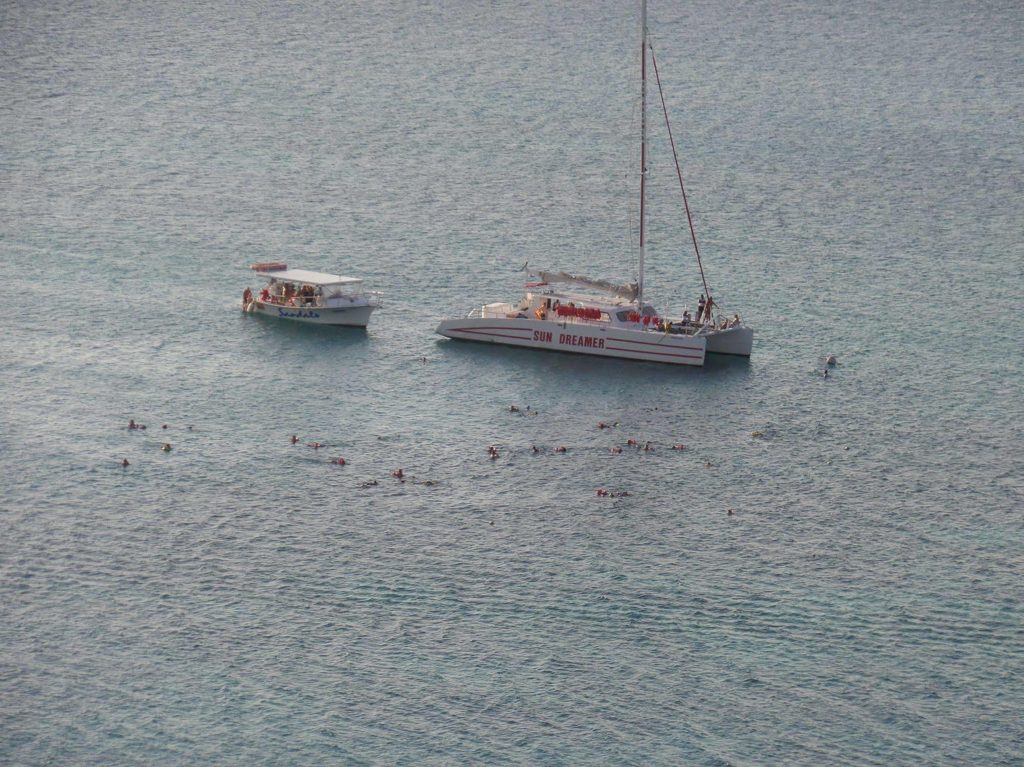 Coral Reef Beach Suite At Montego Bay Club Resort Hotel